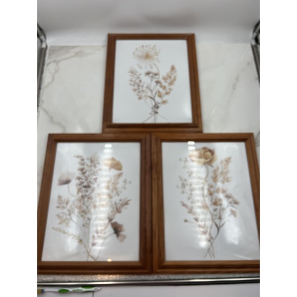 Set 3 Framed Botanical Floral Wall Art Prints Neutral Wood Frame Home Decor